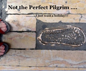 Not the Perfect Pilgrim .... book cover