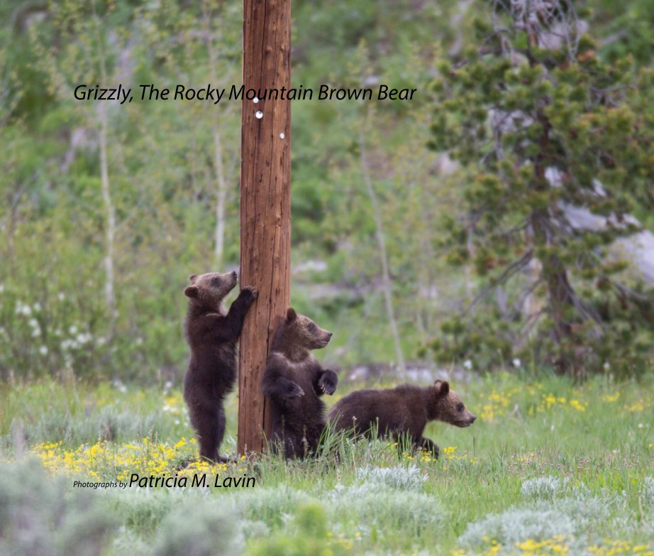 View Grizzly Bear Book 2014 by Patricia M. Lavin