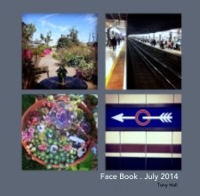 Face Book . July 2014 book cover