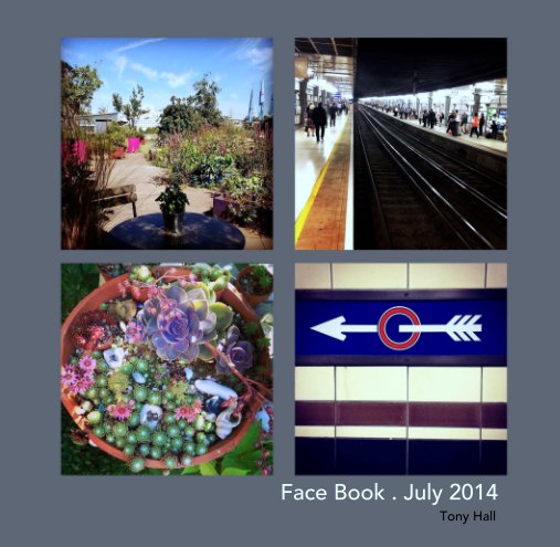 View Face Book . July 2014 by Tony Hall
