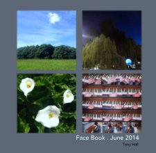 Face Book . June 2014 book cover