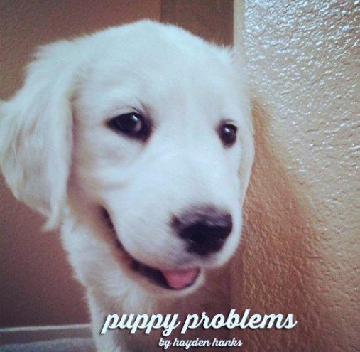 View Puppy Problems by Hayden and Charlie Hanks