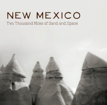 New Mexico 2014 book cover