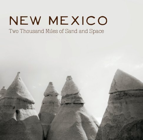 View New Mexico 2014 by Amy Cheek