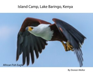 Island Camp book cover
