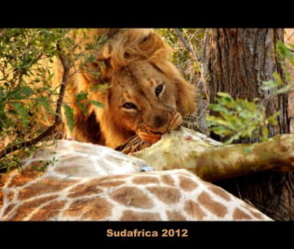Sudafrica 2012 book cover
