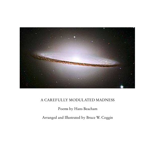 View A Carefully Modulated Madness by Bruce W. Coggin