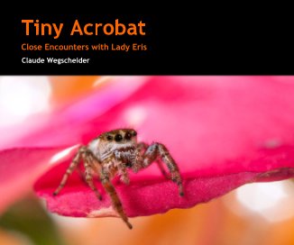 Tiny Acrobat book cover