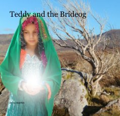 Teddy and the Brídeog book cover