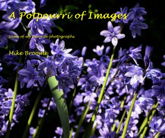 A Potpourri of Images book cover