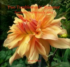 Two Tumbleweeds' Summer book cover
