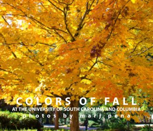 Colors of Fall book cover