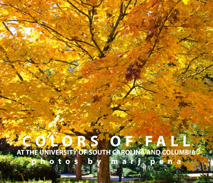 View Colors of Fall by Marj Pena