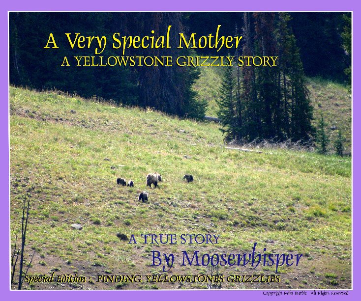 View A Very Special Mother, A Yellowstone Grizzly Story. by Moosewhisper (MB)