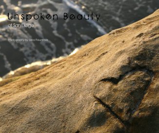 Unspoken Beauty of San Diego book cover