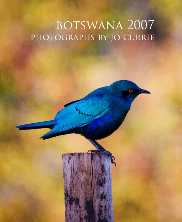 Ver botswana 2007 por photography by jo currie