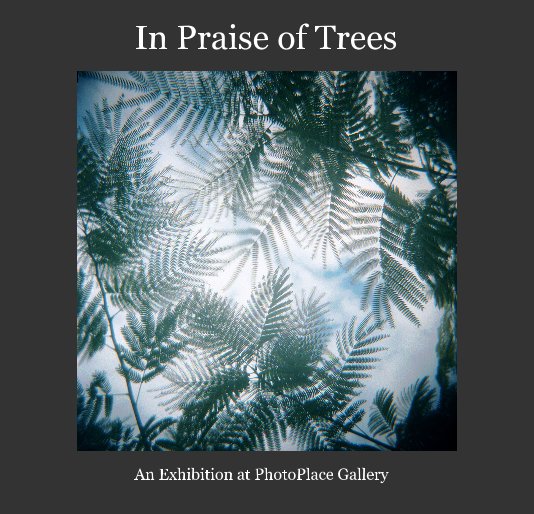 View In Praise of Trees by PhotoPlace Gallery