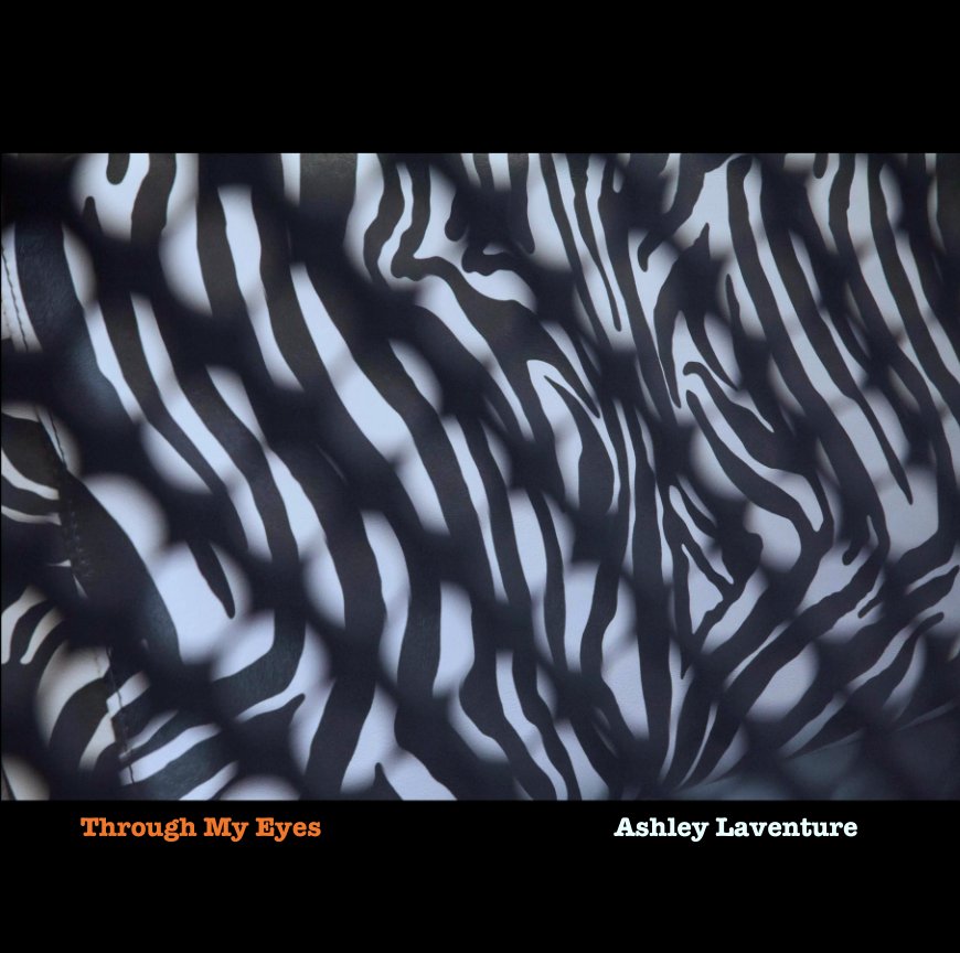 Ver Through My Eyes por Ashley Laventure