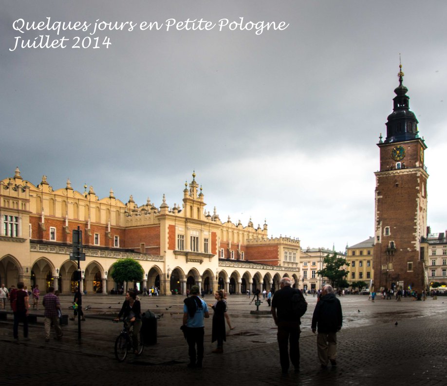 Ver Quelques jours en Petite Pologne por Mary Dehlinger