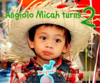 Angiolo Micah Turns 2 book cover