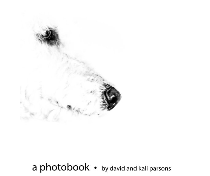 View a photobook by David and Kali Parsons