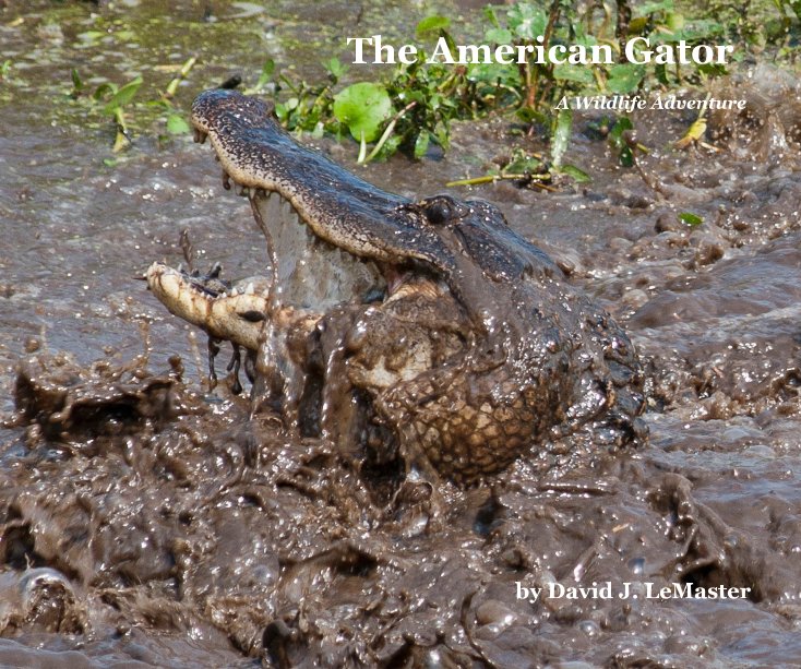View The American Gator by David J. LeMaster