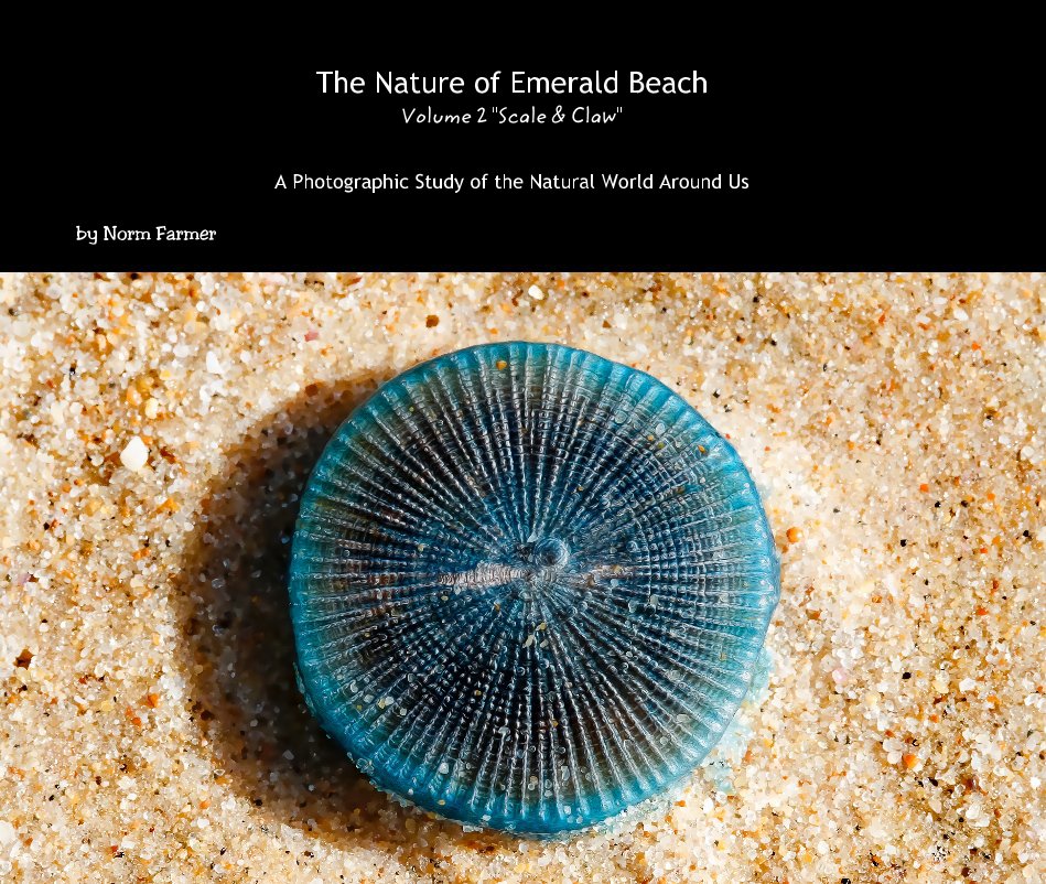 View the nature of emerald beach scale & claw by Norm Farmer