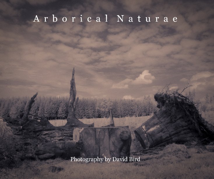 View Arborical Naturae by David Bird