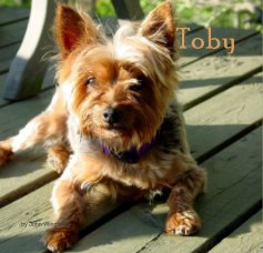 Toby book cover