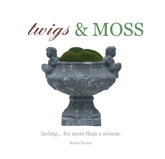 View twigs & MOSS by Resito Pecson