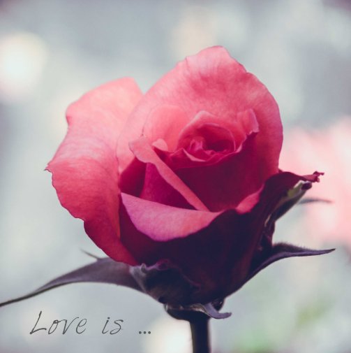 Ver Love is … Beautiful por Gina S. Felder
