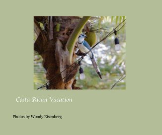 Costa Rican Vacation book cover
