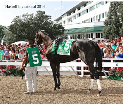 Haskell Invitational 2014 book cover