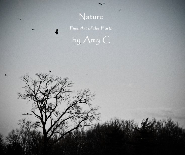 View Nature by Amy C