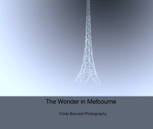 The Wonder in Melbourne book cover