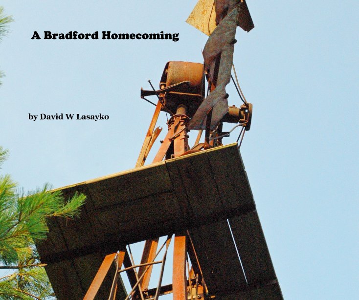 View A Bradford Homecoming by David W Lasayko