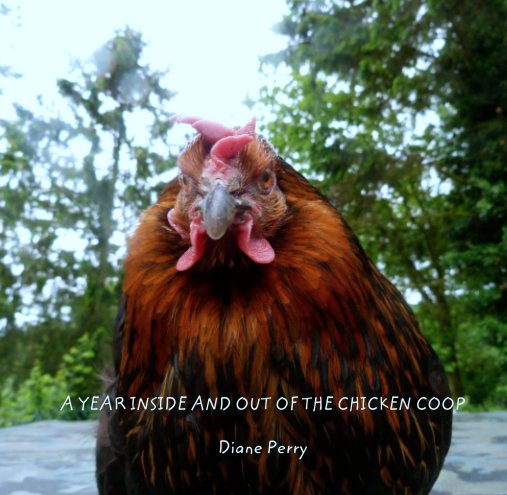 View Untitled by A YEAR INSIDE AND OUT OF THE CHICKEN COOP

Diane Perry