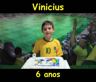 Aniversário Vinicius book cover