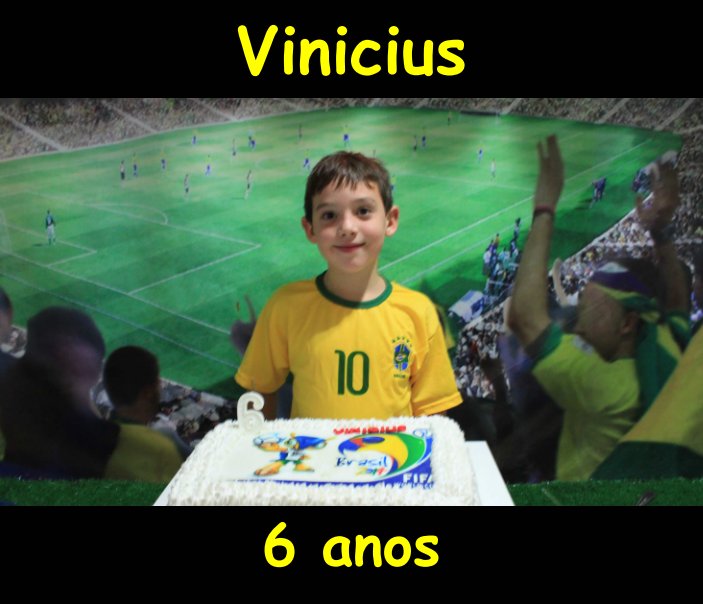 Ver Aniversário Vinicius por Valquiria Zavatti
