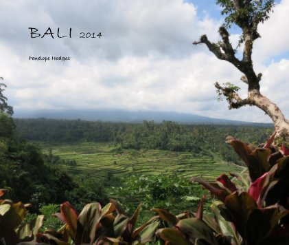 BALI 2014 book cover