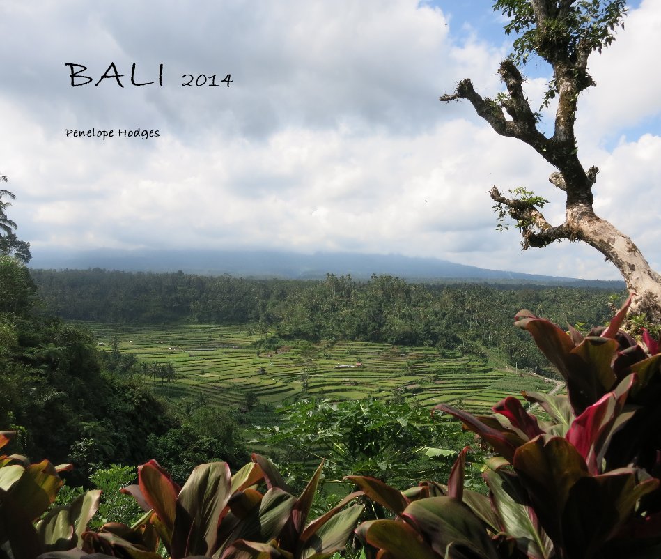View BALI 2014 by Penelope Hodges