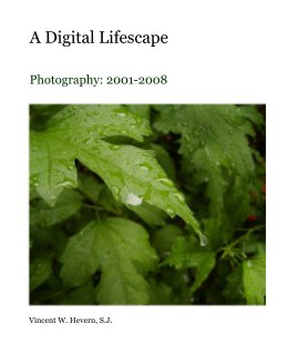A Digital Lifescape book cover