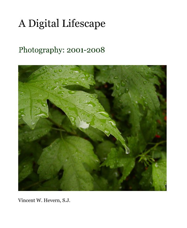 View A Digital Lifescape by Vincent W. Hevern