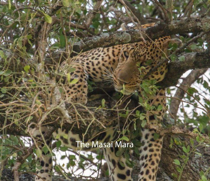 Visualizza The Masai Mara di Doreen Mellor