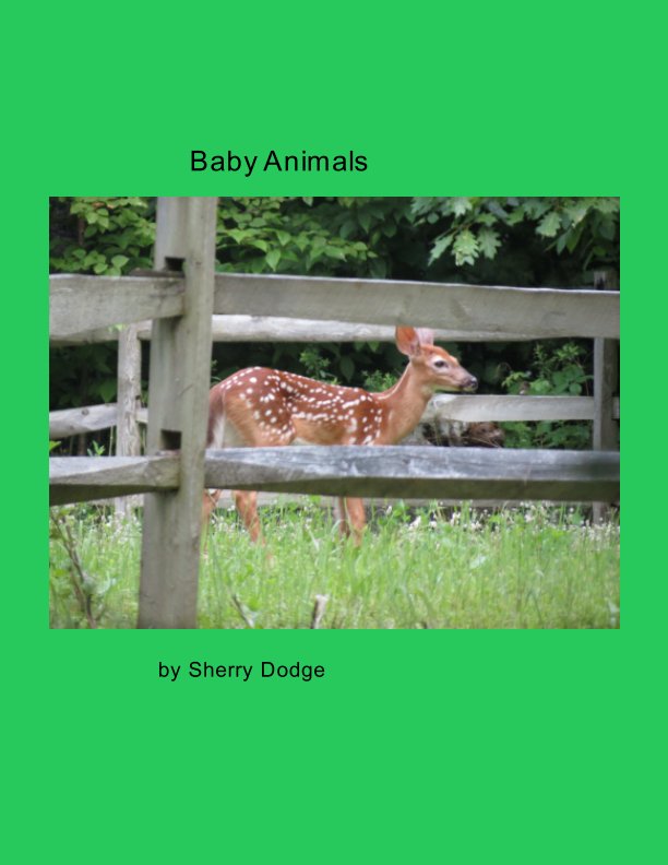 Visualizza Baby Animals di Sherry Dodge