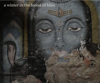 a winter in the forest of bliss book cover