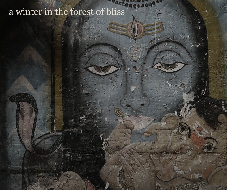 Bekijk a winter in the forest of bliss op jameshervey