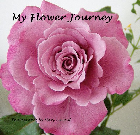 Ver My Flower Journey por Photographs by Mary Limont