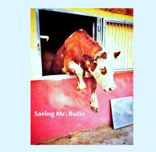 View Saving Mr. Bulle by Anja Terjung