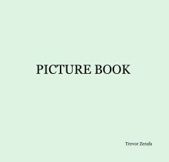 PICTURE BOOK book cover